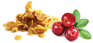 Organic Fair Trade Chocolate Cranberries Cereals