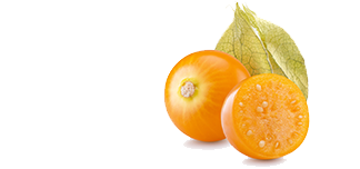 Golden Berries and Organic Fair Trade Dark Chocolate